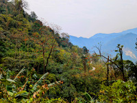 Scenic highway from Tezu to Kaho