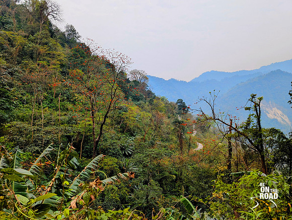 Scenic highway from Tezu to Kaho