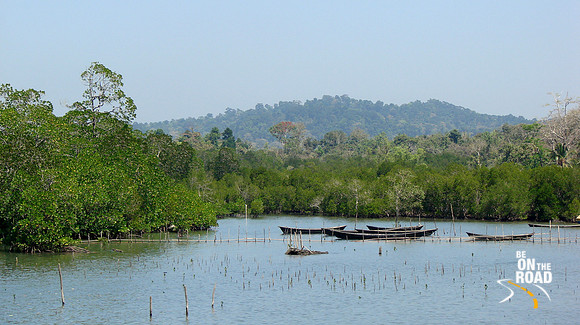DSC00115