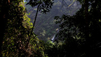 IMG_5594