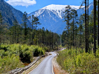 Dibang Wildlife Sanctuary near Anini