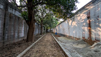 Lush surroundings of Thiruppudaimarudur Temple