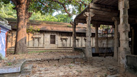 Lush green surroundings of Naramboonathar Temple, Thiruppudaimarudur, Tamil Nadu