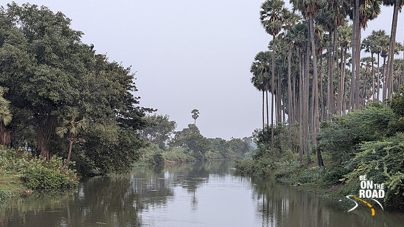 Canal, Palm trees and lush vegetation enroute Thiruppudaimarudur Village