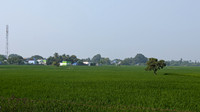 A view of Thiruppudaimarudur village, Tamil Nadu