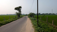 The lush paddy field highway leading to the village of Thiruppudaimarudur in Tamil Nadu