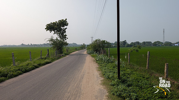 The lush paddy field highway leading to the village of Thiruppudaimarudur in Tamil Nadu