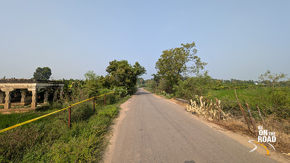 The fertile ecosystem enroute Thiruppudaimarudur village