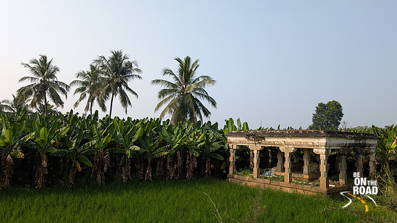 Paddyfields, banana plantations and coconut trees seen enroute Thiruppudaimarudur village