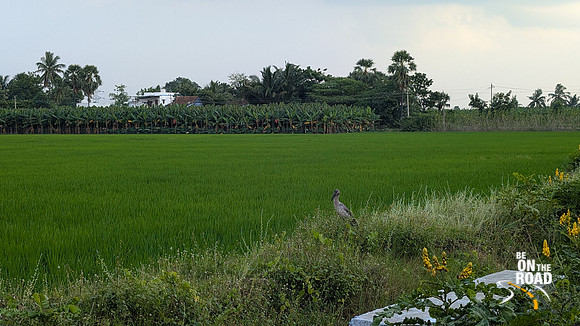 Scenic and lush Karisoolnthamangalam village