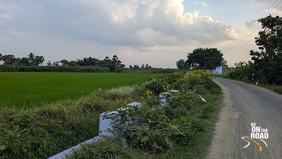 Lush road leading to Karisoolnthamangalam village