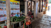 Garland work in progress during Thiruvathirai festival at Chepparai Natarajar Temple