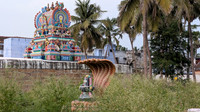 Shiva Lingam and serpents at Akhilandeswari temple, Rajavallipuram