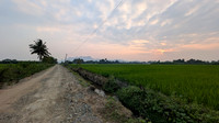 Country roads that lead to Ammainathar Temple, Cheranmahadevi