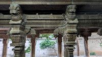 Stunning yali sculptures holding the weight of the structure in front of the Ambal Sannadhi at Ammainthar Temple, Cheranmahadevi