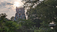 The gopuram of Cheranmahadevi Ammainathar Temple against the setting sun