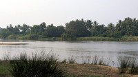 Pristine ecosystem of the Thamirabharani River