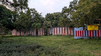 Lush surroundings of Cheranmahadevi Ammainathar Temple
