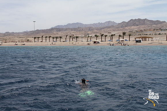 Snorkeling over the rich coral reefs of the Red Sea at Aqaba, Jordan