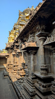Lovely stone work on the walls on the Bhaktavatsala Perumal temple at Cheranmahadevi, Tamil Nadu