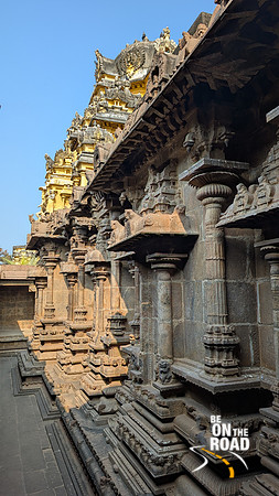 Lovely stone work on the walls on the Bhaktavatsala Perumal temple at Cheranmahadevi, Tamil Nadu