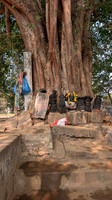 Arasar Adi Pilaiyar and Nagar at Bhaktavatsala Perumal temple
