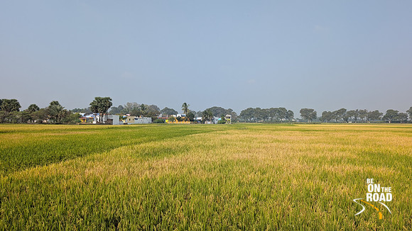 The village of Cheranmahadevi at its golden best