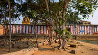 Morning sun shines on the Bhaktavatsala Perumal Temple, Cheranmahadevi