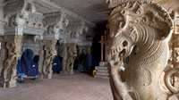 A closeup of a Yaali at Thirukkurungudi Perumal temple