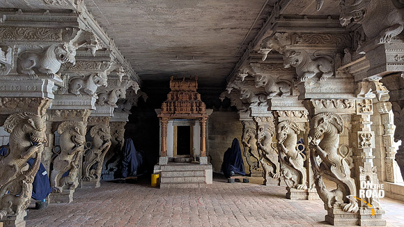 Gorgeous sculptures of Yalis at Thirukkurungudi Perumal temple