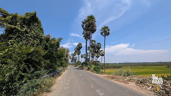 The lush green nature highway connecting Kalakad with Thirukkurungudi