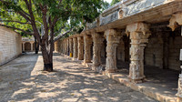 Greenery and ancient sculptures - a rare combination