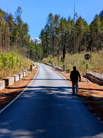 Taking a walk in the absolutely gorgeous Dibang wildlife sanctuary in Eastern Arunachal Pradesh