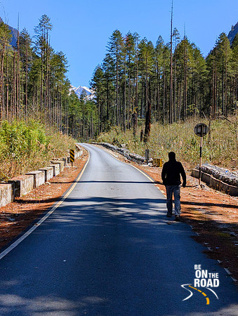 Taking a walk in the absolutely gorgeous Dibang wildlife sanctuary in Eastern Arunachal Pradesh