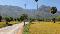 Kollengode view point will be a sight to behold in the monsoons