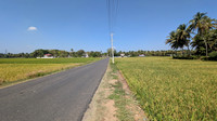 The gorgeous road that leads to Kollengode village, Kerala