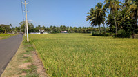 The paddyfield and coconut tree filled village road that leads to Kollengode and Seetharagundu Waterfalls