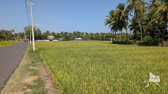 The paddyfield and coconut tree filled village road that leads to Kollengode and Seetharagundu Waterfalls