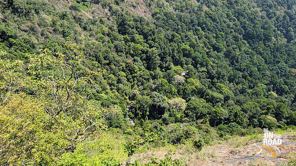 Winding mountain roads of Nelliyampathy covered by dense forests