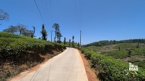 Scenic Tea estate road view enroute to Nelliyampathy Top, Kerala