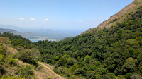 Shola Forests and Pothundy Dam view - Nelliyampathy Forest Reserve, Kerala