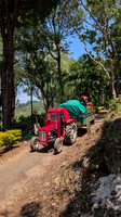 Tractor carrying freshly plucked tea leaves at Nelliyampathy