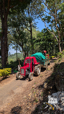 Tractor carrying freshly plucked tea leaves at Nelliyampathy