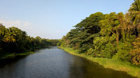 Lush view of Gayatri puzha river from Thrippalur Hanging Bridge