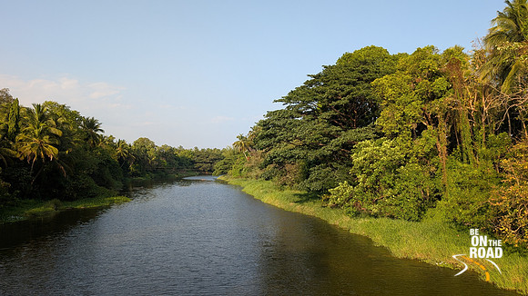Lush view of Gayatri puzha river from Thrippalur Hanging Bridge