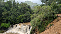 Gorgeous Mookanamane Falls during the monsoon season