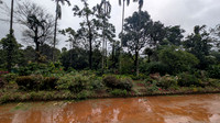 Beautiful flower garden at Malnad Homestay, Attihalli