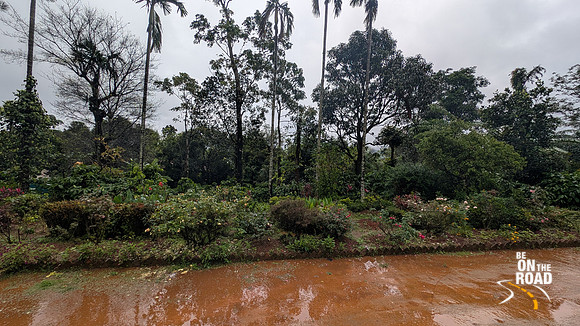 Beautiful flower garden at Malnad Homestay, Attihalli