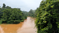 Rivers in spate in Malenadu and Dakshina Kannada