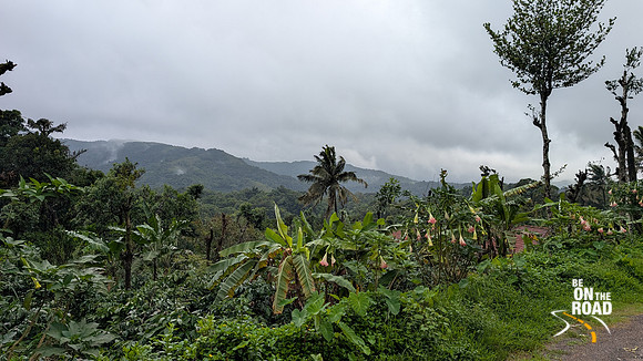Monsoon scenes from Attihalli village, Malenadu, Karnataka